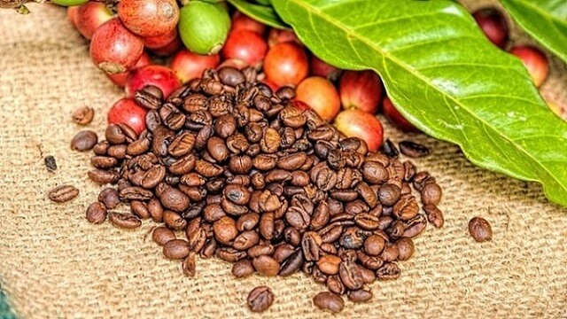 tác dụng của cà phê đối với tóc