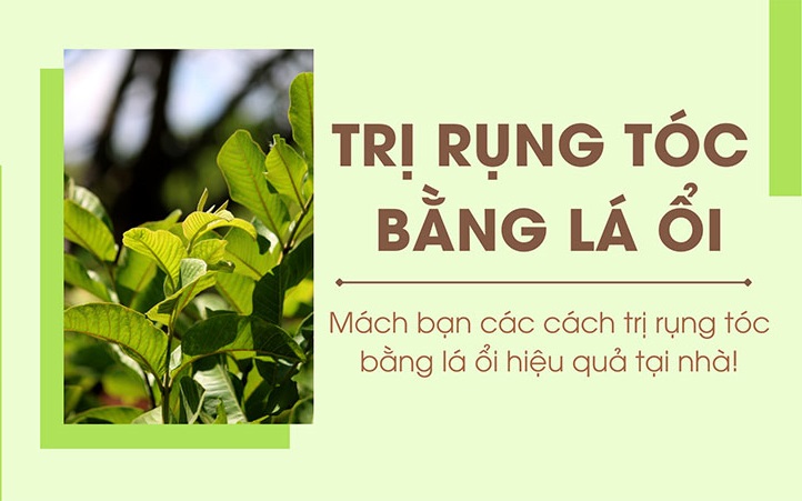 Cách trị rụng tóc bằng lá ổi